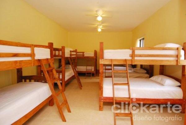 Olga Querida Hostal Guadalajara