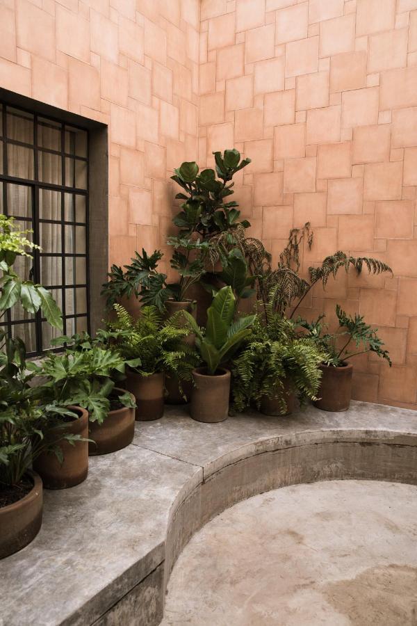 Hotel Casa Montore By Barrio Mexico *