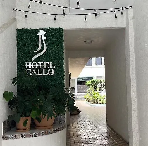 Hotel Gallo