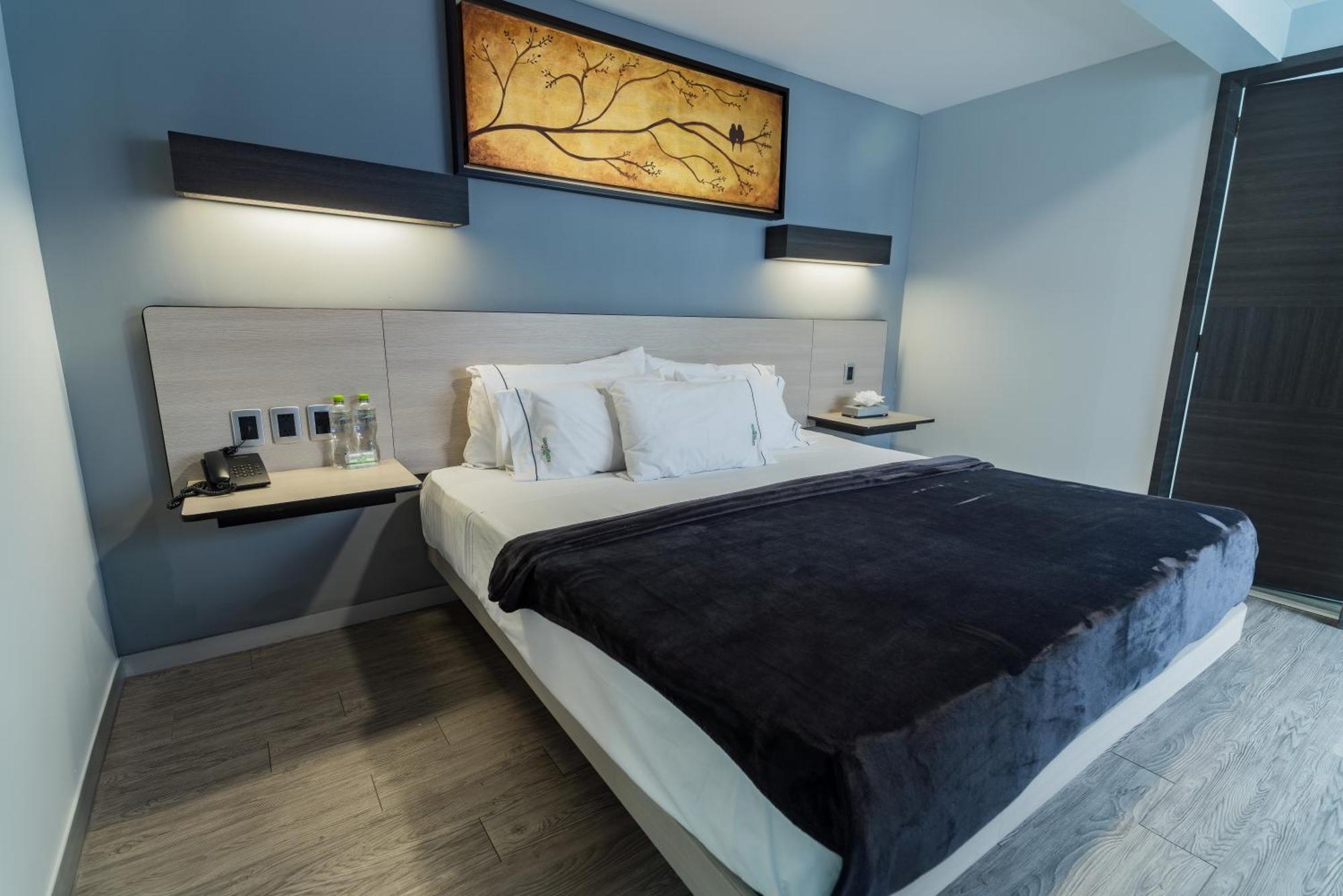 Hotel Lemon -zona Expo Frente Al Centro De Convenciones 4*