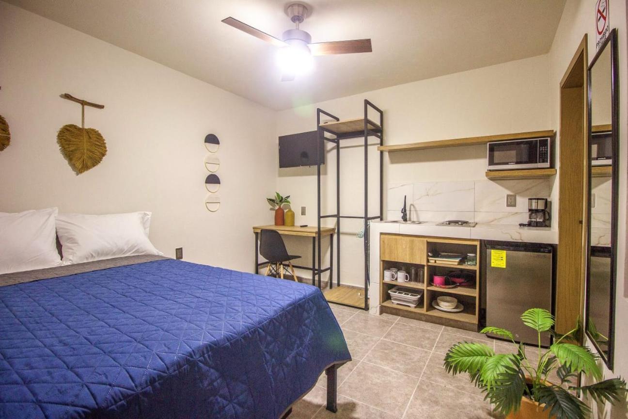 Loft Alatorre