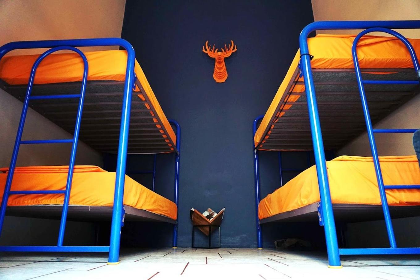 Hostal Bluepepper *
