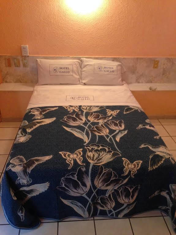 Hotel Gallo Rubio Guadalajara