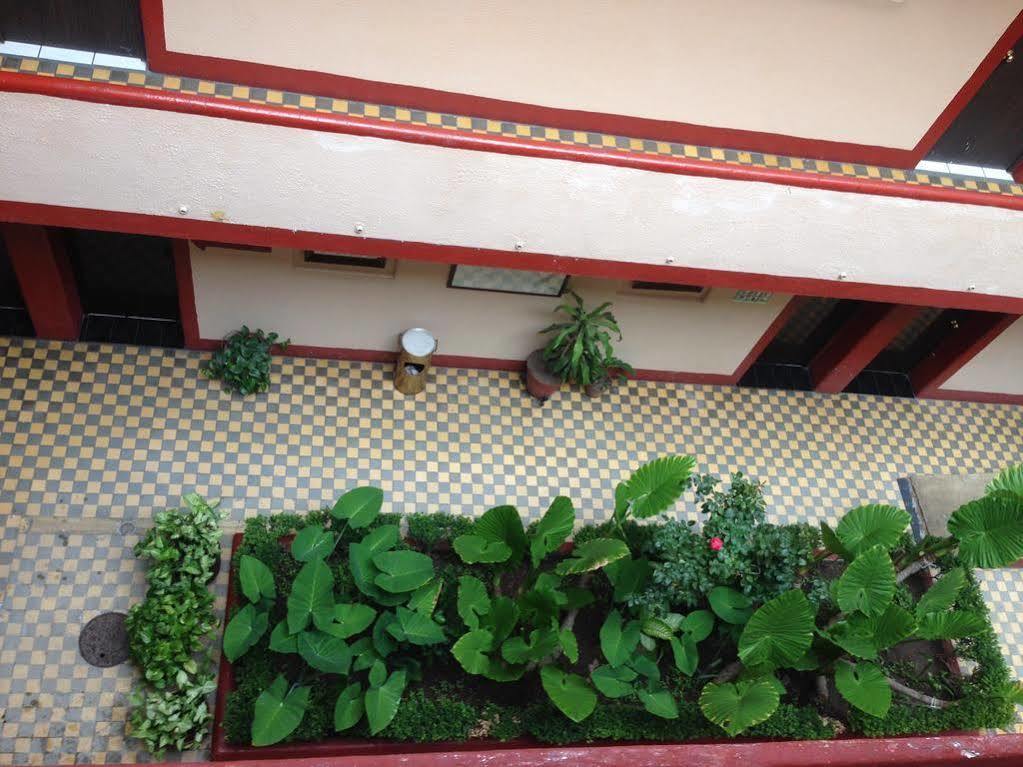 Hotel Gallo Rubio 3*