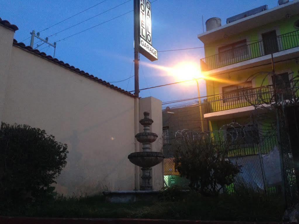 Gallo Rubio Hotel