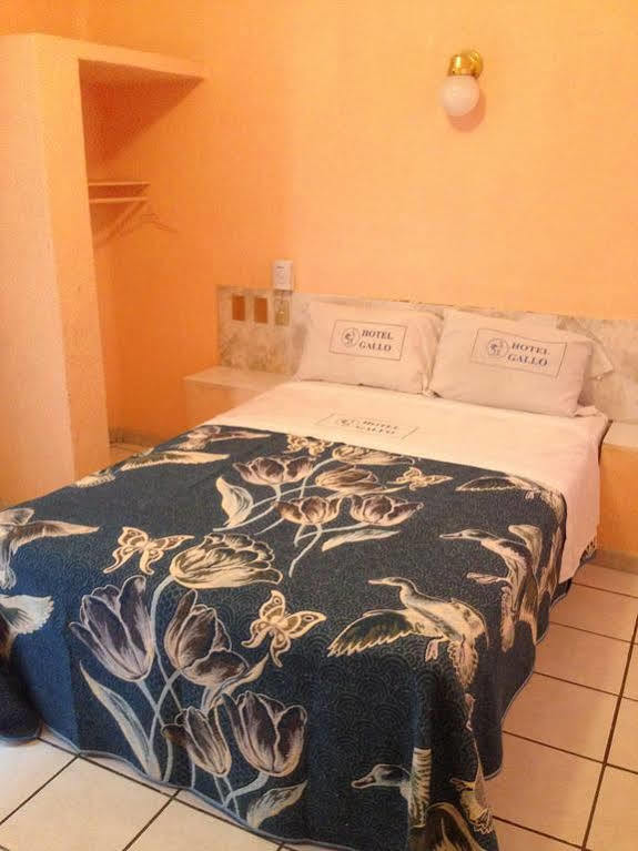 Hotel Gallo Rubio