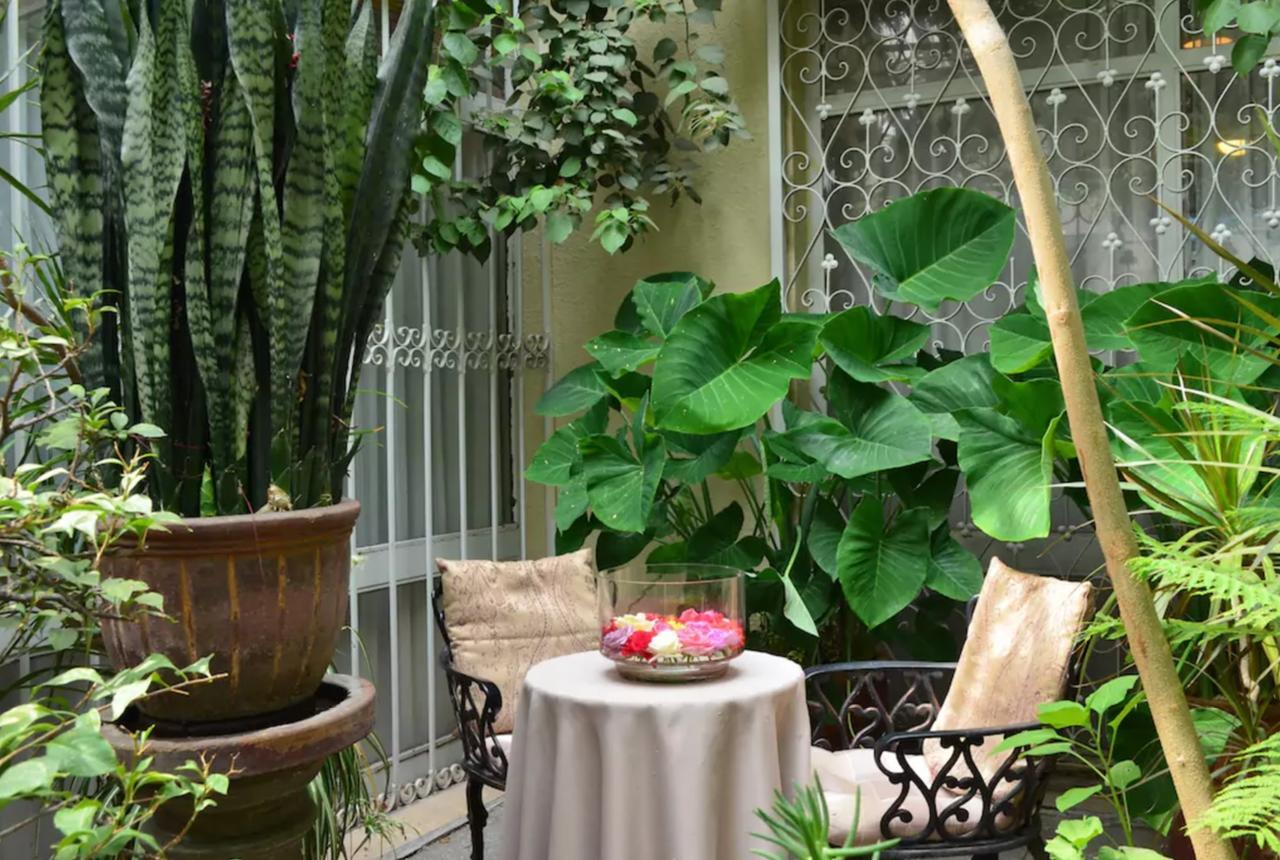 Pensión Dickinson Guest House, Expo Guadalajara