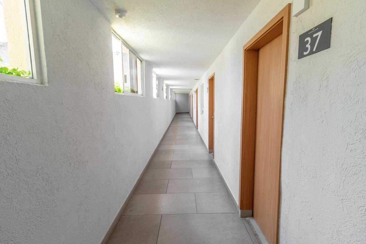 Emperador Centro Y Remodelado Guadalajara