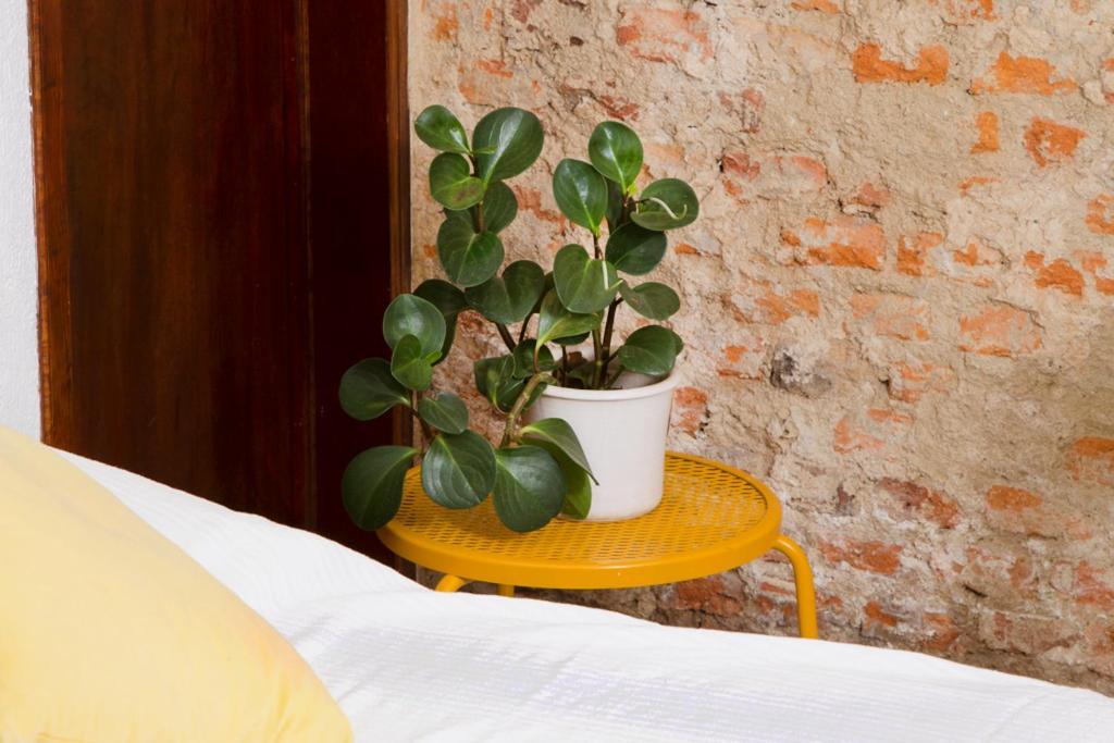 Hostal Casa Canario Guadalajara