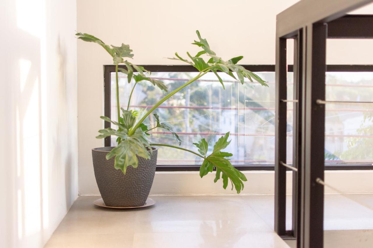 Apartment Lofts Santa Fe