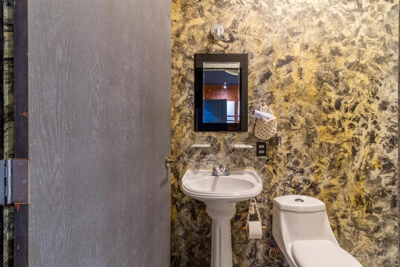 Akasha ● Ecohost & Walking Distance To Downtown