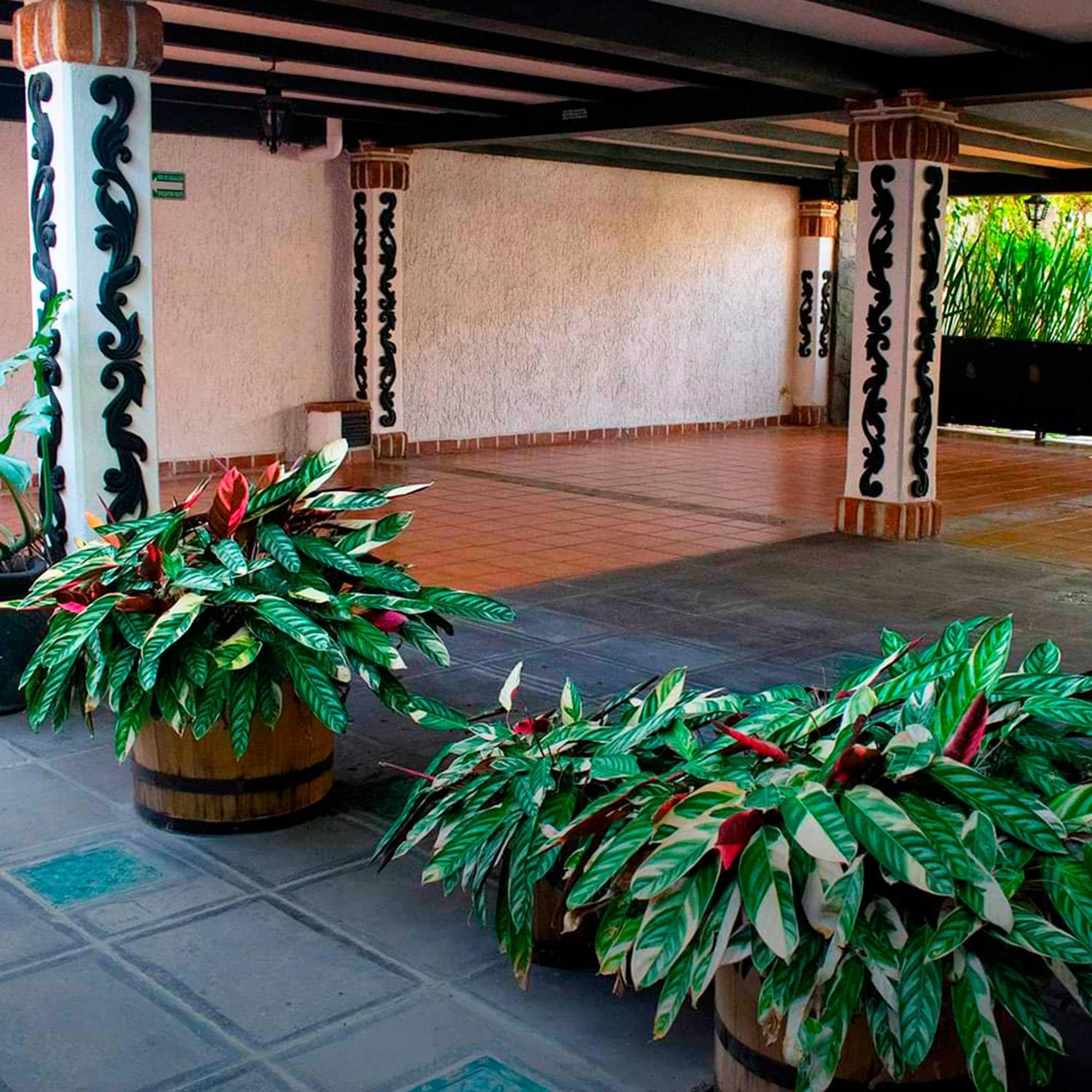 Boutique La Mansión * Guadalajara
